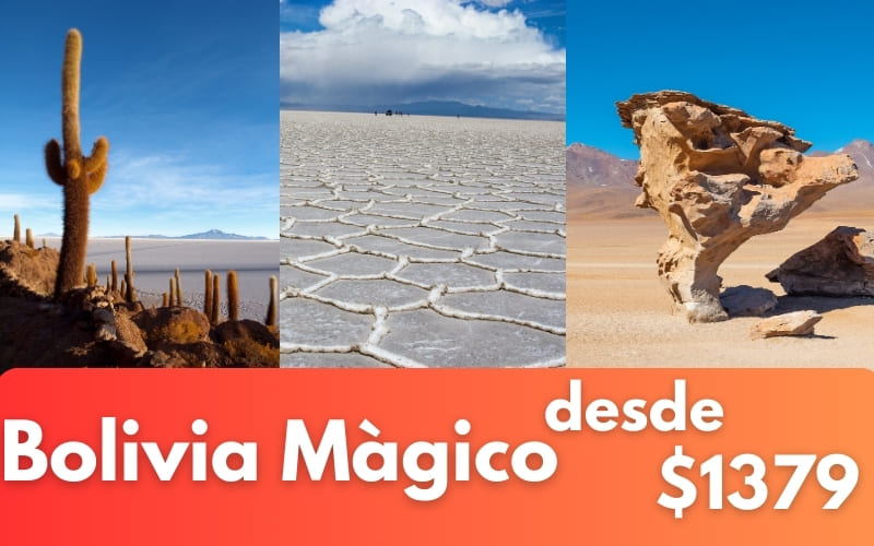 arbol de piedra etc bolivia
